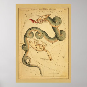 Draco the Dragon - Vintage Astronomical Star Chart