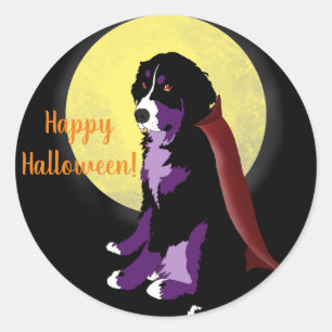 Dracula Bernese Mountain Dog Halloween  Classic Round Sticker