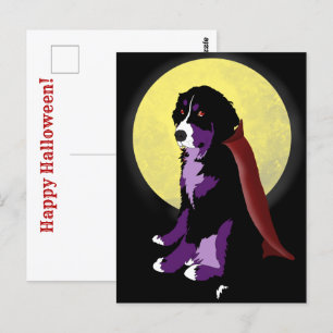 Dracula Bernese Mountain Dog Halloween Postcard