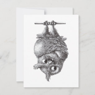 Dracula Owl Cool and So Scary Postcard