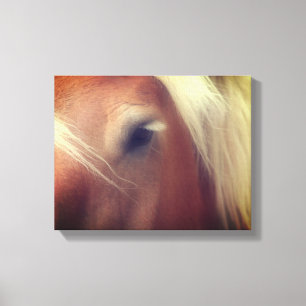 Draft Horse Eye Wisdom Canvas Print