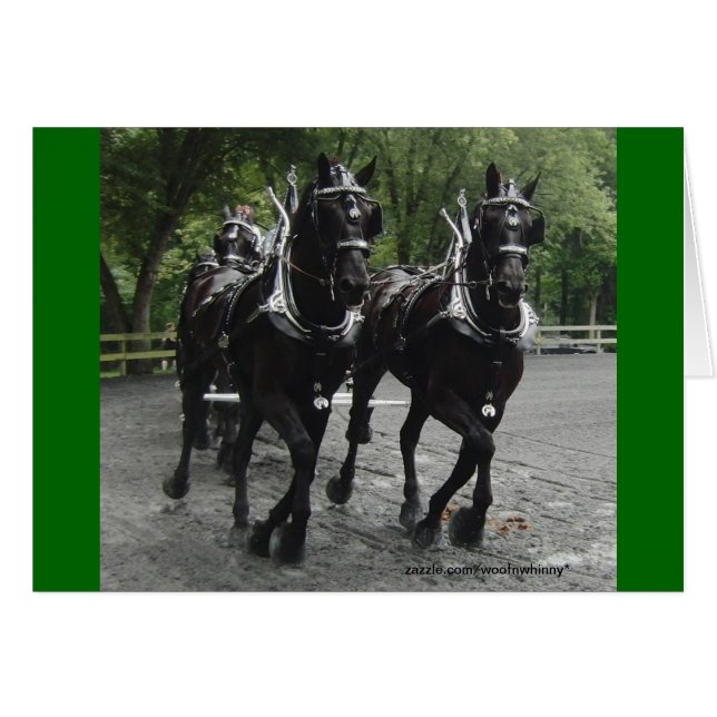 Draft Horses In Step (Front Horizontal)