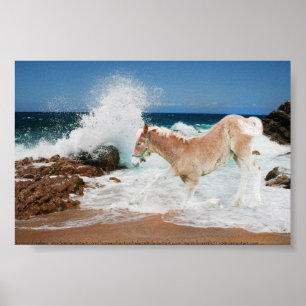 Draft Of The Sea Poster