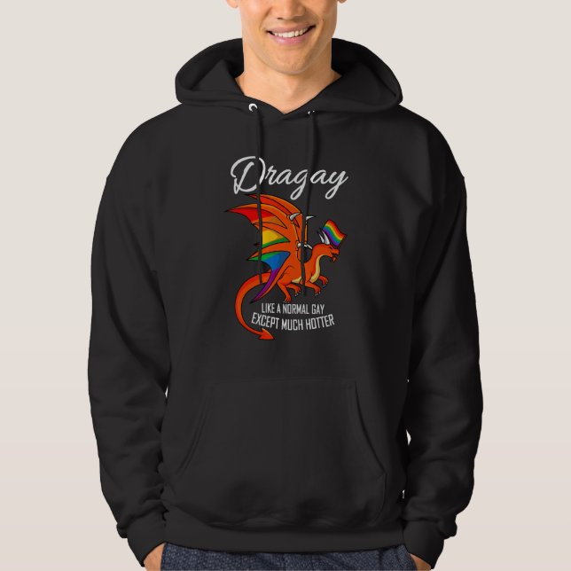 Dragay Normal Gay Except Hotter Rainbow Dragon LGB Hoodie (Front)