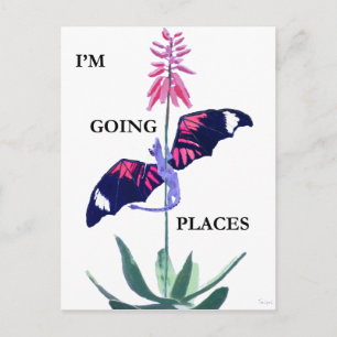 Dragon and Cactus Postcard