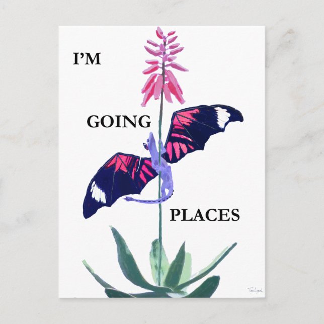 Dragon and Cactus Postcard (Front)