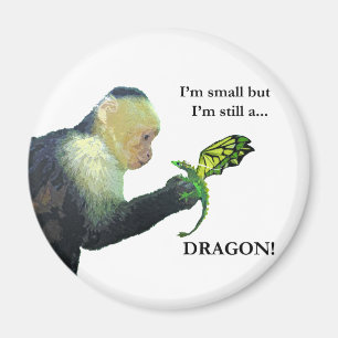Dragon and Monkey Magnet