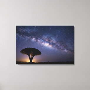 Dragon Blood Tree Milky Way Canvas  Ancient Nature