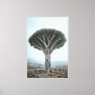 Dragon Blood Tree Mystic Surreal Nature Canvas Print