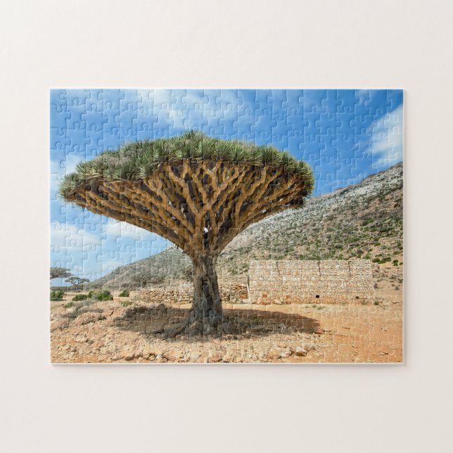 Dragon Blood Tree, Socotra Island, Yemen Jigsaw Puzzle (Horizontal)