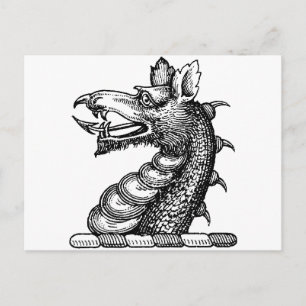 Dragon Clothing 9 Postcard