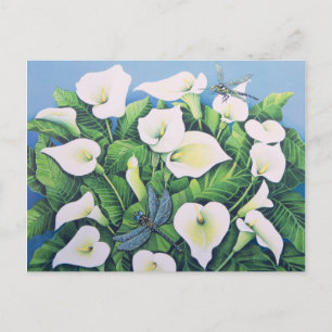 Dragon Flies Postcard