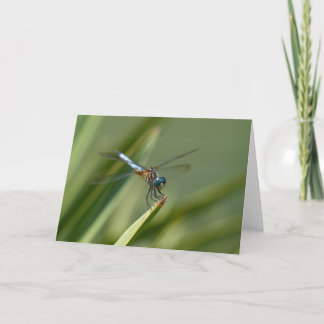Dragon Fly - Blue Green 06 Card