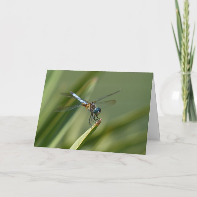 Dragon Fly - Blue Green 06 Card (Front)