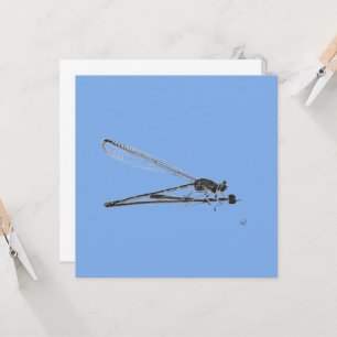 Dragon Fly Card
