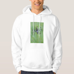 Dragon fly perched on grass, Canada Hoodie