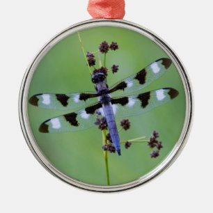 Dragon fly perched on grass, Canada Metal Tree Decoration
