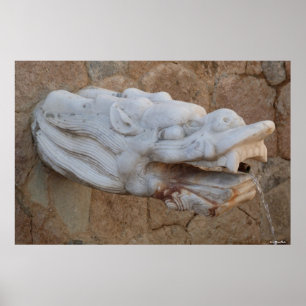 Dragon Fountain Poster