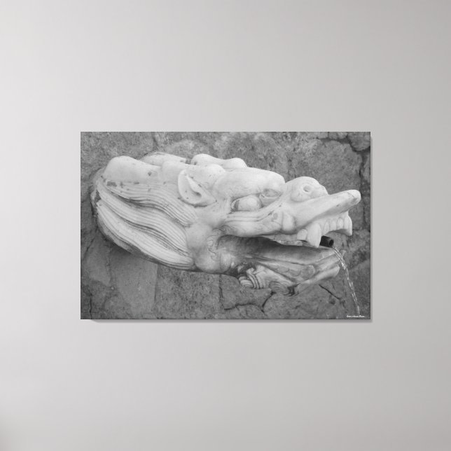 Dragon Fountain Stretched Canvas Print (Front)