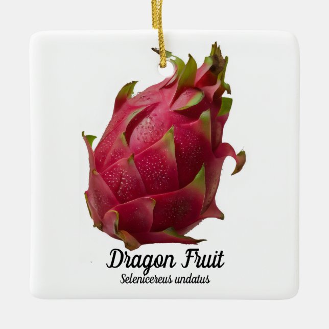 Dragon Fruit Ceramic Ornament (Front)