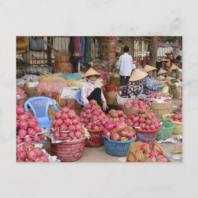 Dragon Fruit for Sale Postcard (Front)