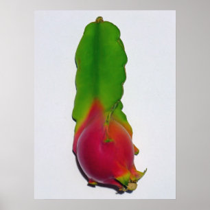 Dragon fruit poster