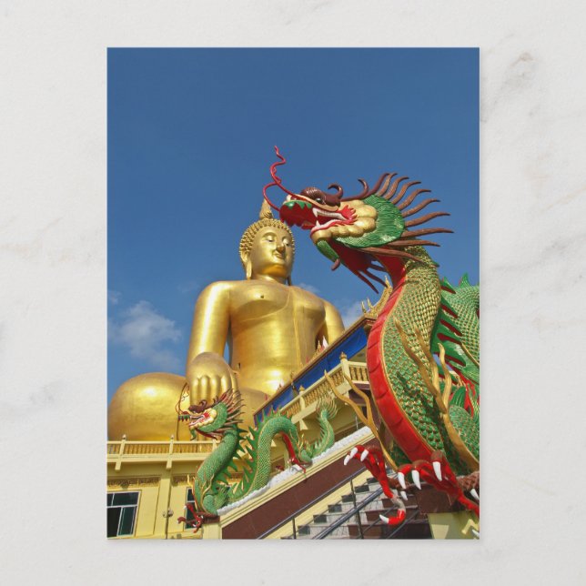 dragon guard postcard (Front)