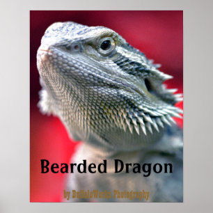 Dragon Head Poster