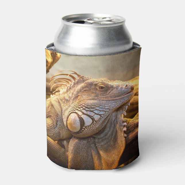 Dragon Iguana name Can Cooler (Can Front)