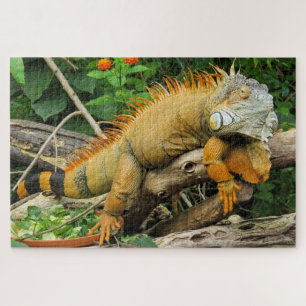 Dragon lizard sleeping along a long tree branch jigsaw puzzle