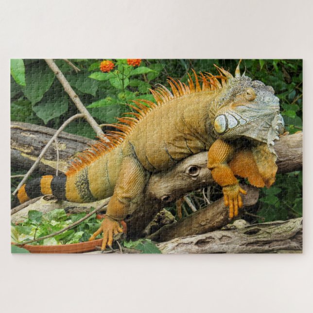 Dragon lizard sleeping along a long tree branch jigsaw puzzle (Horizontal)