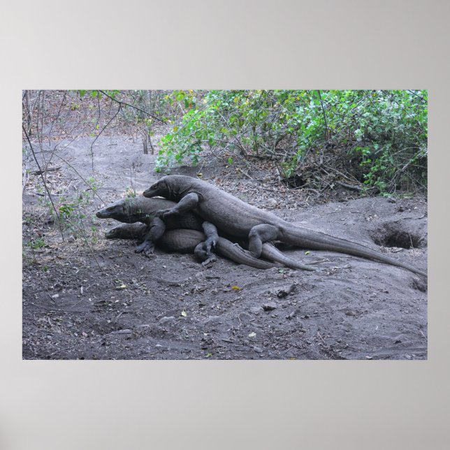 Dragon Love Poster (Front)