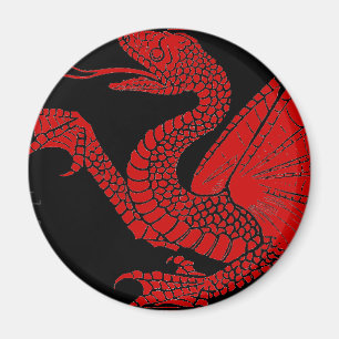 Dragon Magnet