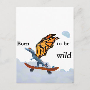 Dragon on Skateboard Postcard