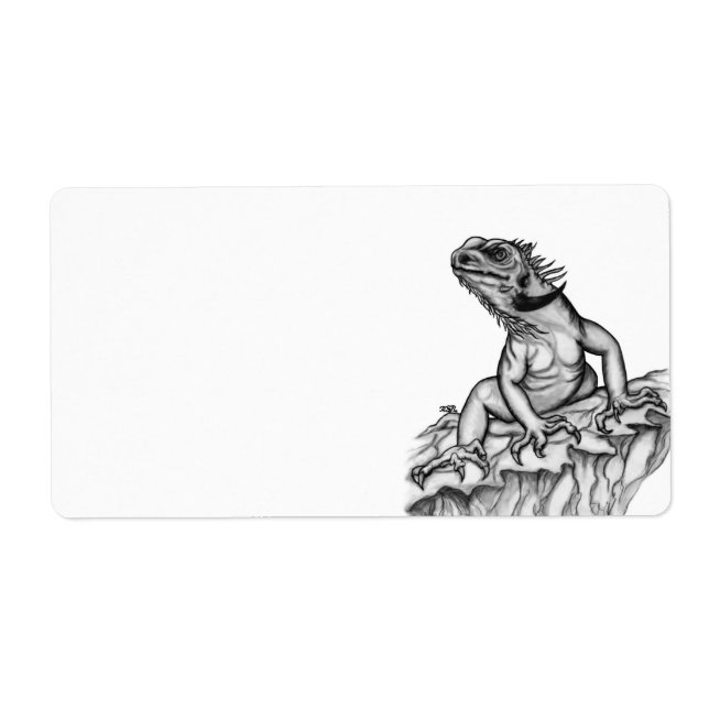 Dragon on the Rock (Front)
