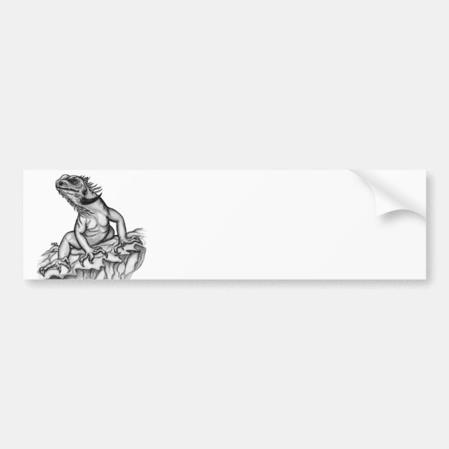 Dragon on the Rock Bumper Sticker (Front)