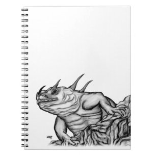 Dragon on the Rock Notebook