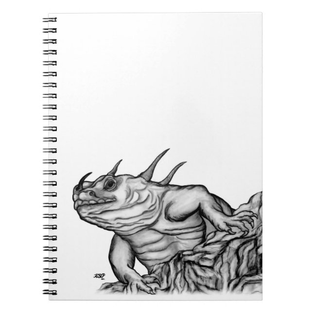 Dragon on the Rock Notebook (Front)