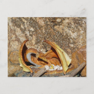 Dragon Post Card