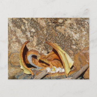 Dragon Post Card