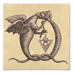 Dragon Snake Sulphur Mercury Symbols Photo Print