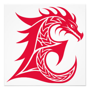 Dragon Styled Letter E, Dragon Alphabet, Monogram Photo Print