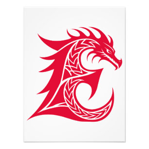 Dragon Styled Letter E, Dragon Alphabet, Monogram Photo Print
