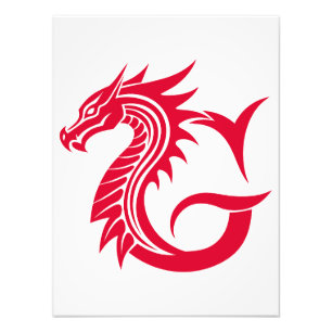 Dragon Styled Letter G, Dragon Alphabet, Monogram Photo Print