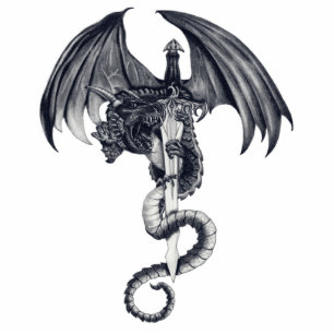 Dragon & Sword Photo Sculpture