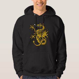 Dragon symbols and artwork hoodie