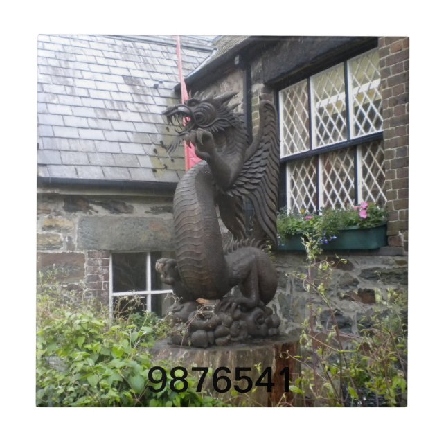 dragon test tile (Front)