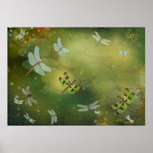 Dragonflies and Water Lillies Artwork Poster