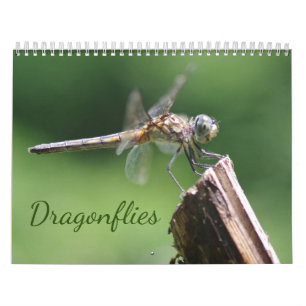 Dragonflies Calendar