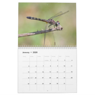 Dragonflies Calendar